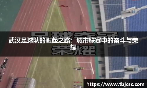 武汉足球队的崛起之路：城市联赛中的奋斗与荣耀