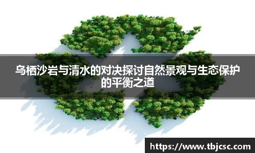 乌栖沙岩与清水的对决探讨自然景观与生态保护的平衡之道